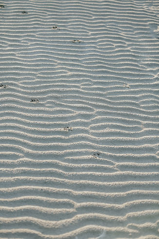 landscape9.jpeg