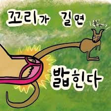 구좌지조대전 (꼬리가 길면 밟힌다)