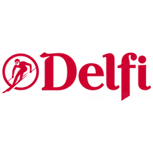 Delfi Limited_edited.png