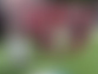 Muhlenberg Defeats Salisbury