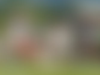 Lehigh Women's Soccer