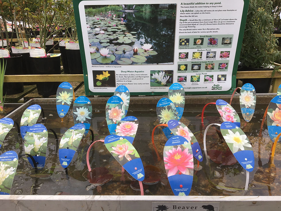 Huntroyde Nurseries Plants Whins Lane, Simonstone, Burnley