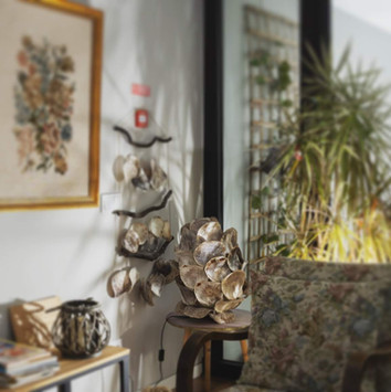 Praia de Santos Guesthouse Details