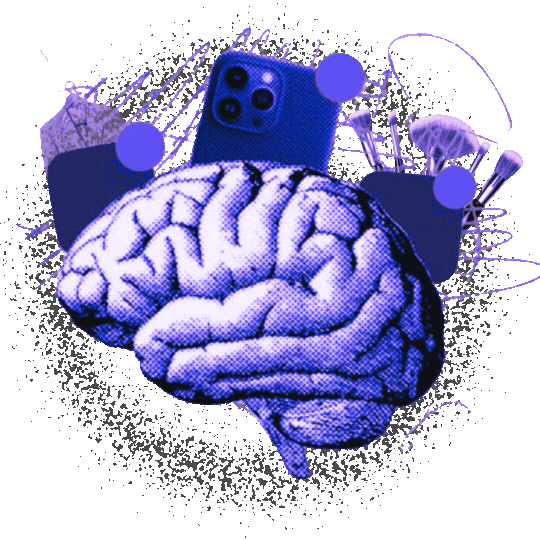 brain