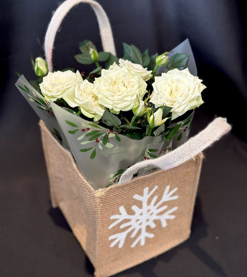Christmas Rose Gift