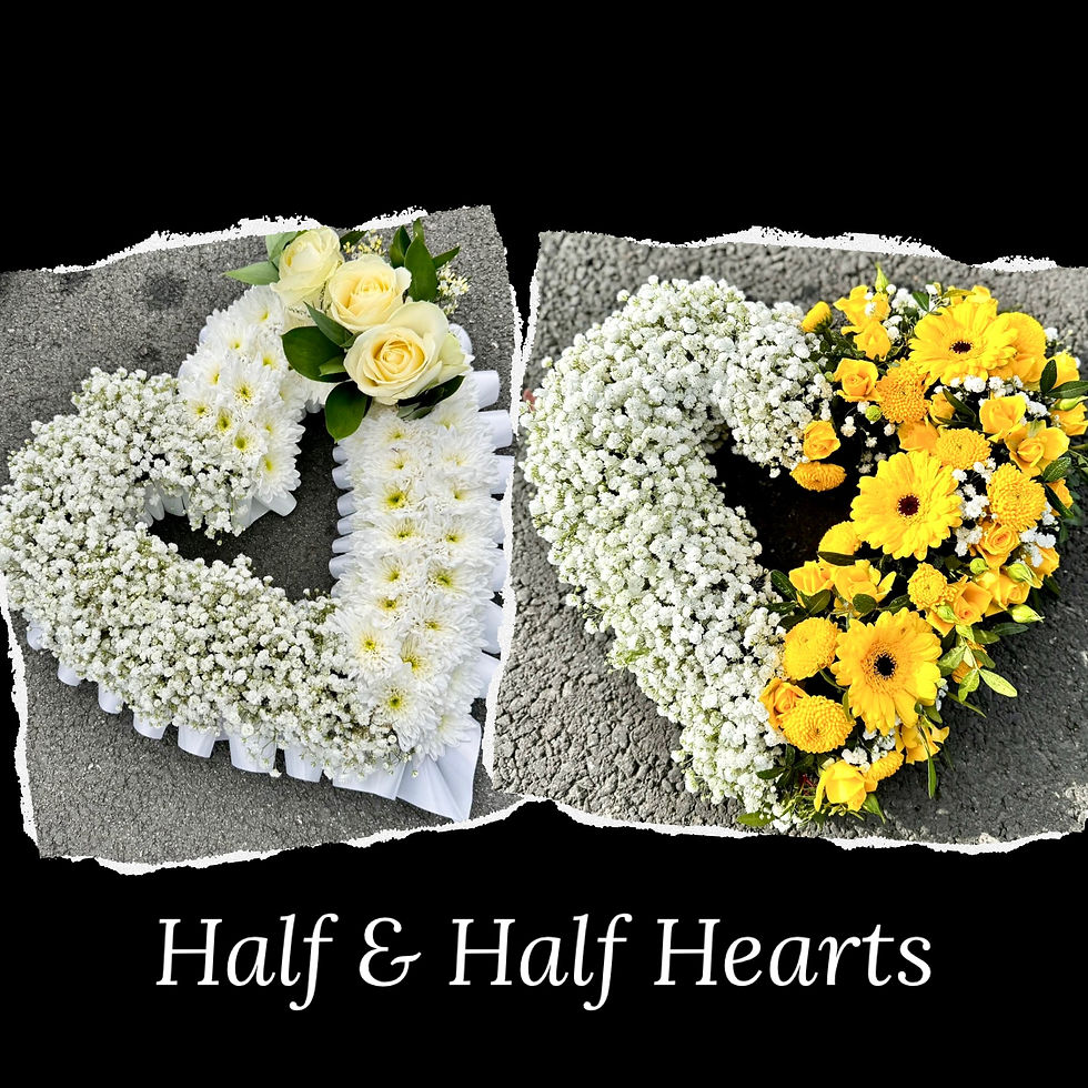 Open Heart
