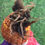 Thumbnail: TIGGY gryffindor double pom baby hat