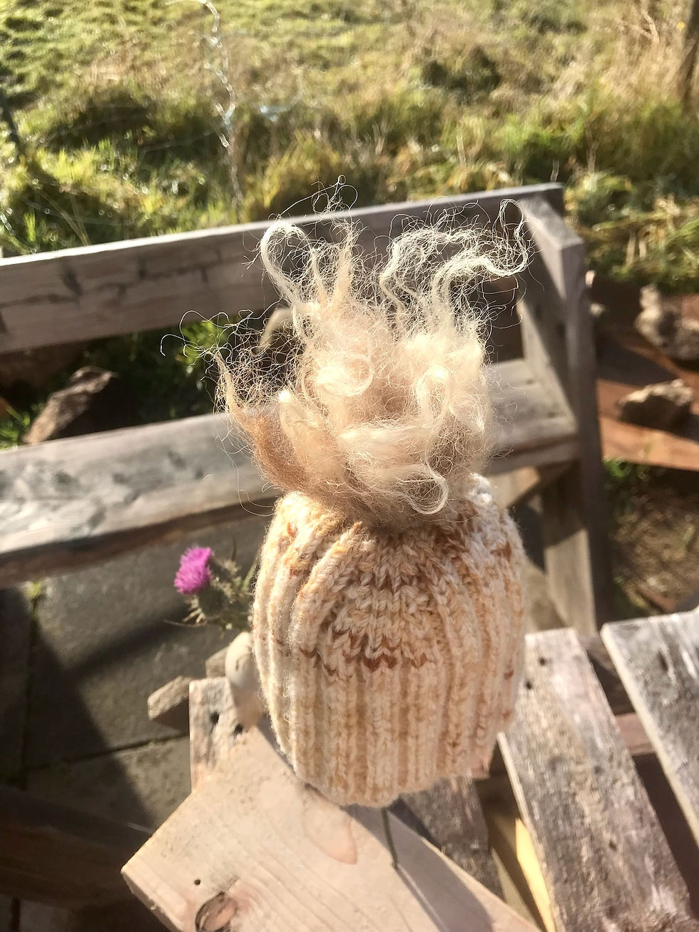 Thumbnail: LUDO pure achpopuli baby pom hat