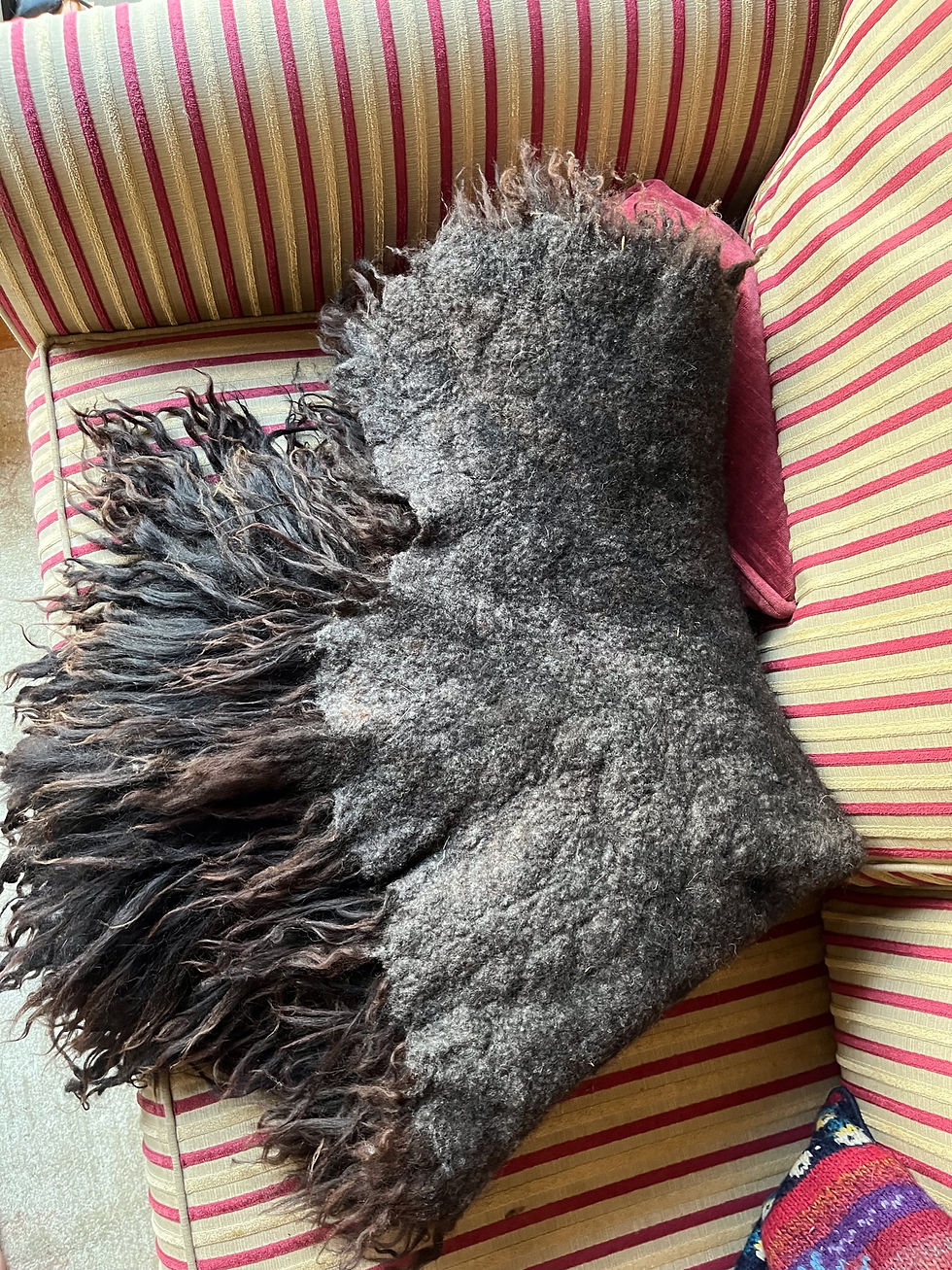 Thumbnail: OLA full fleece felted rug/throw