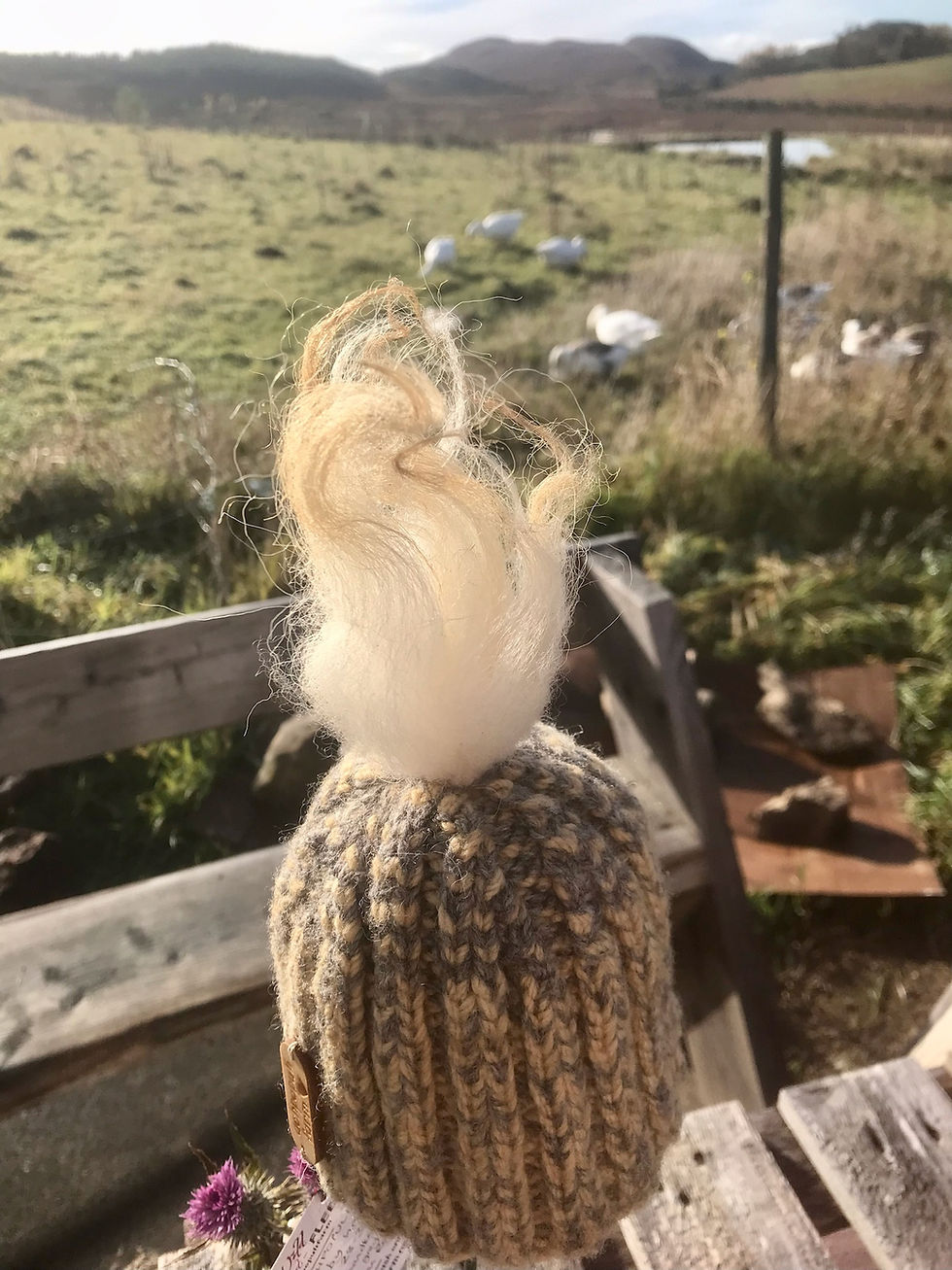 Thumbnail: ZENA baby pom hat