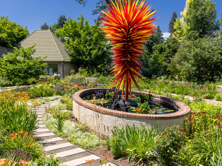 Chihuluy in Denver