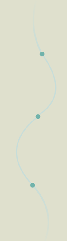 Path (1).png