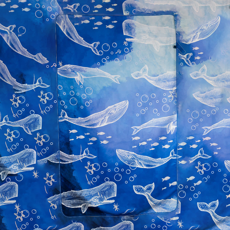 Miniatura: Cachalotes y Jorobadas |  4 Elements