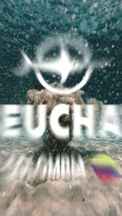 BEUCHAT 001.gif