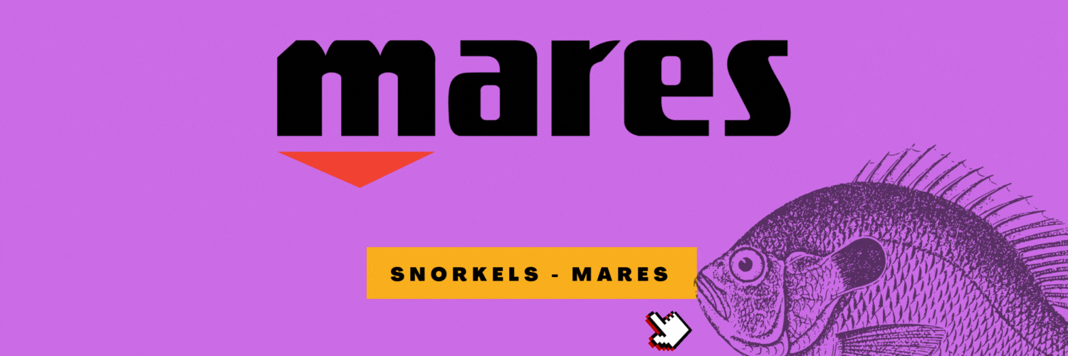 Snorkels Mares.gif