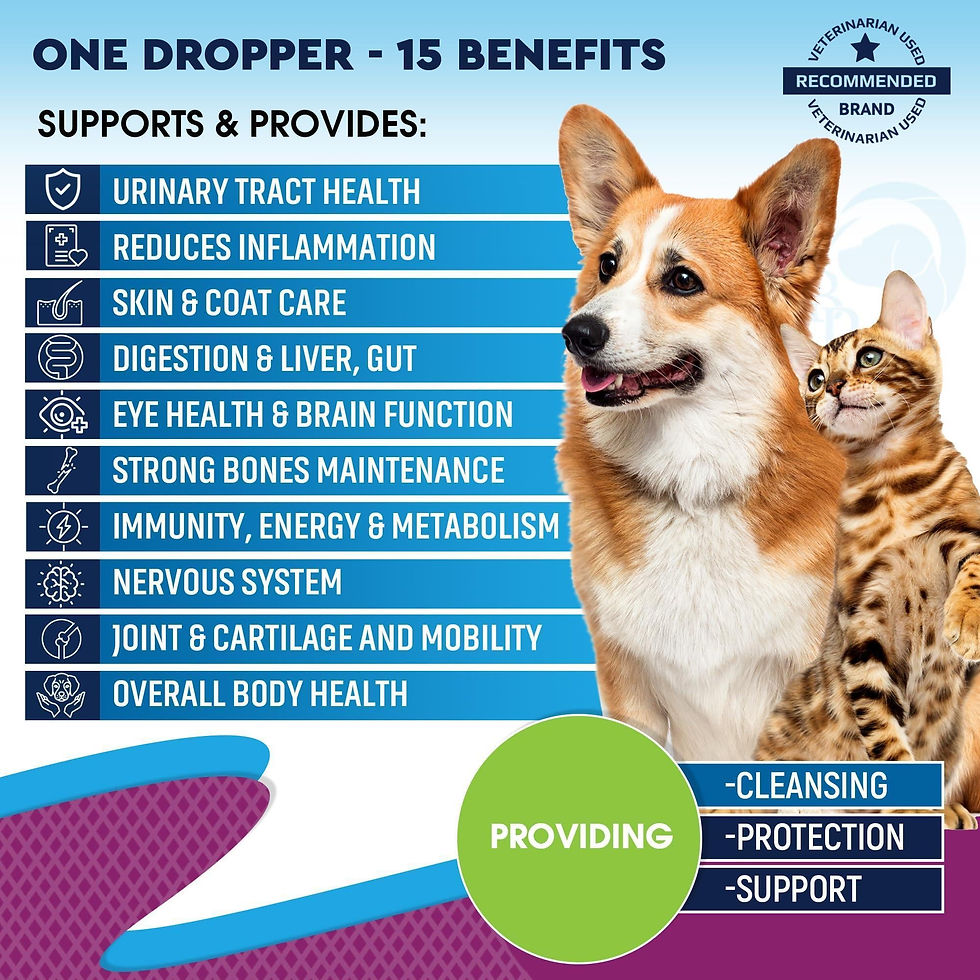 Thumbnail: Cat Dog Multivitamin Liquid with Glucosamine and Cranberry Health Supplements