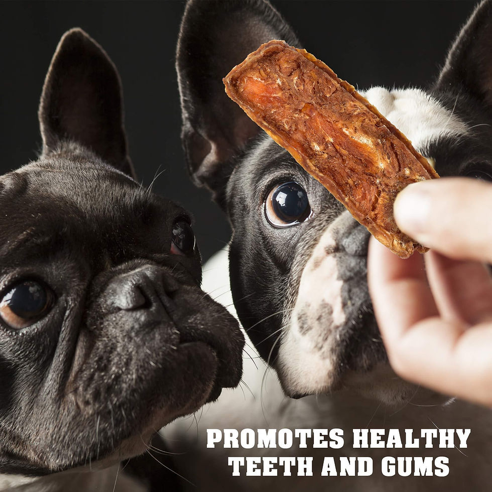 Thumbnail: Chicken Jerky Dog Treats 1.5 Lb Human Grade Pet Snacks Grain Free Dried Strips