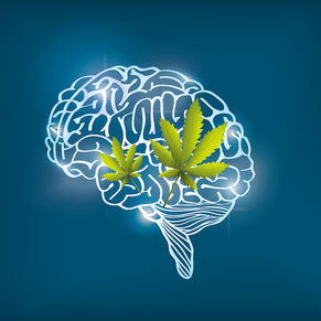 CANNABIS AND PSYCHOSIS SYMPTOMS: THE ROLE OF THE ENDOCANNABINOID SYSTEM IN THE HUMAN BRAIN