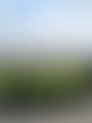 МАЙБУТНЄ ПРОФЕСІЙНОГО СВІТУ! ⚙️