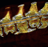 2020-03-02_11-50-39.gif