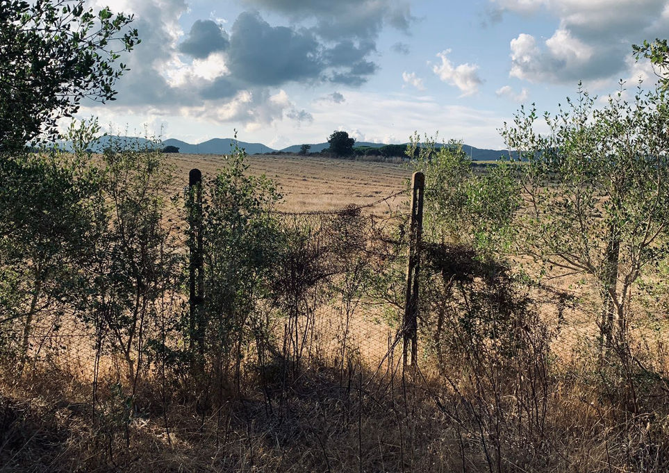 Panorama con collina