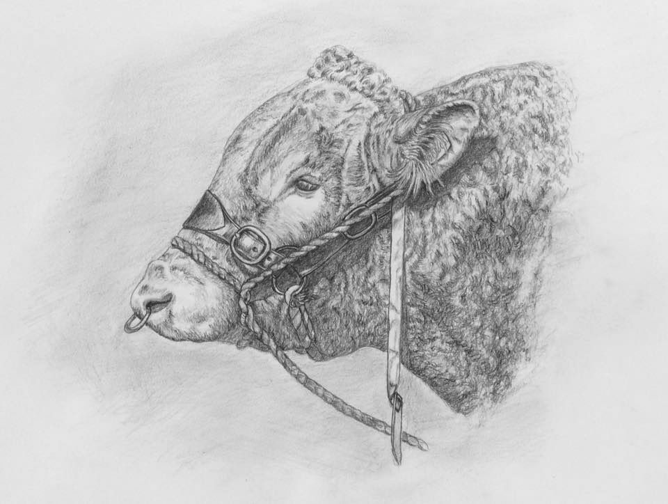 Totnes Show Prize Winner
