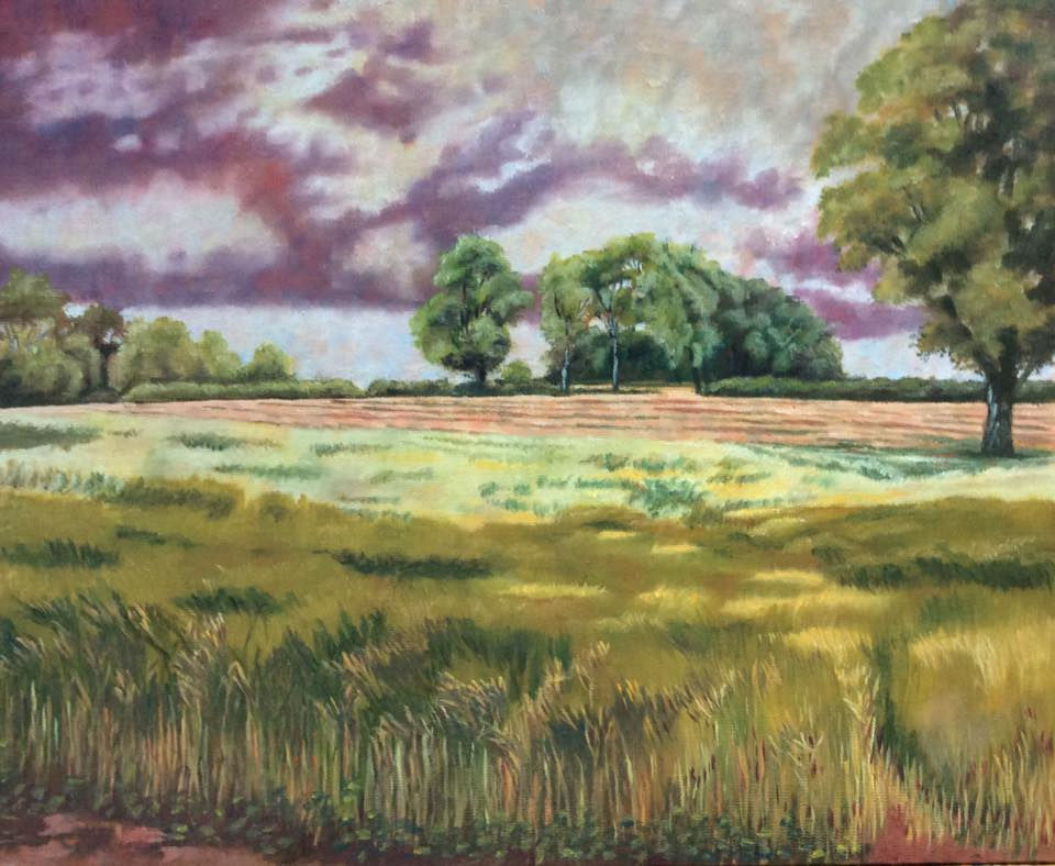 Scene over a Field Gate
