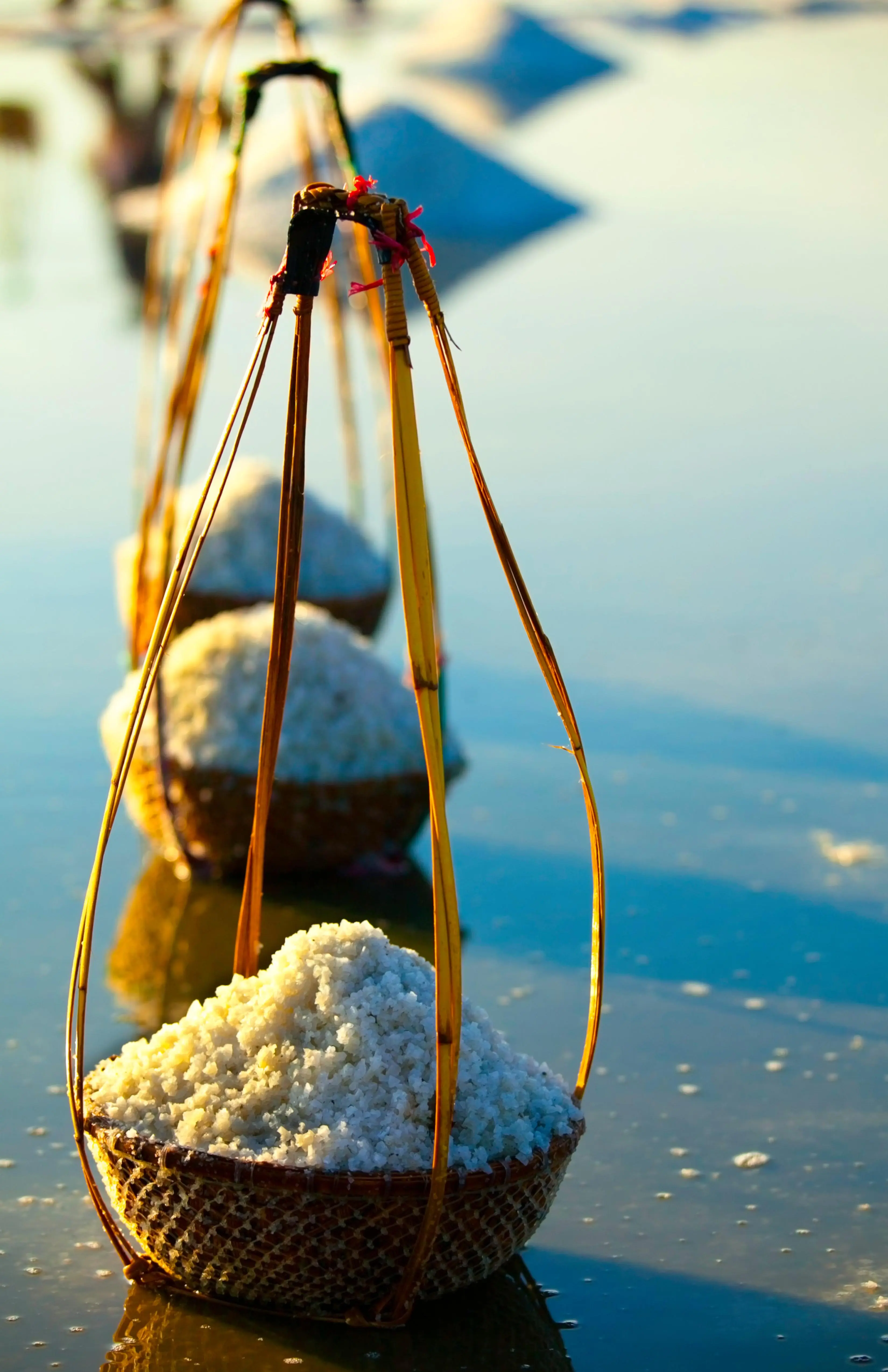 muối biển cà ná