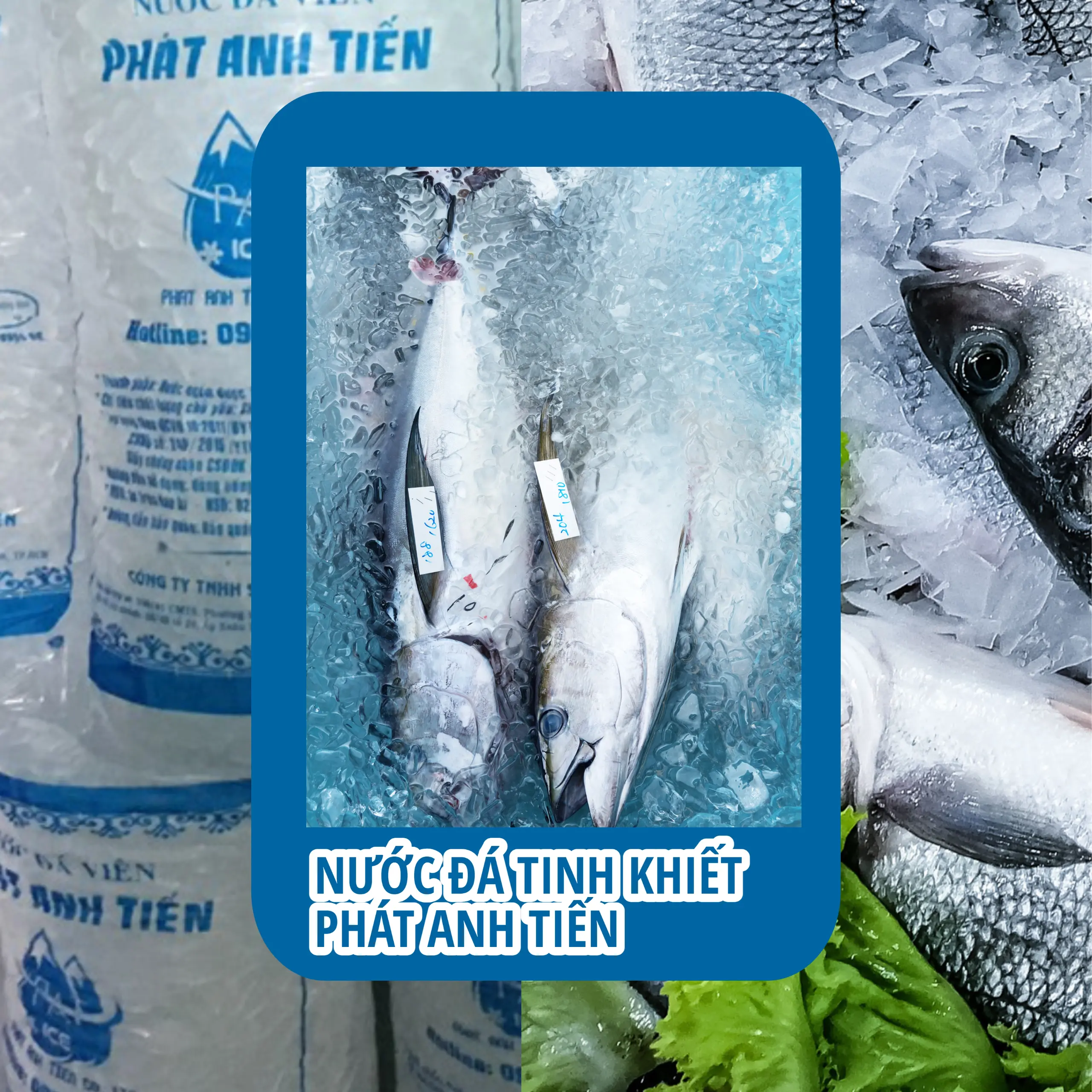 công ty nước đá, hệ thống nước đá, cơ sở nước đá, đá sạch chất lượng, nước đá quận, phát anh tiến, nước đá quận gò vấp, cung cấp nước đá sạch, nước đá tám, nước đá gần đây, giá nước đá, các loại nước đá, nước đá sạch tinh khiết, bao đá sạch