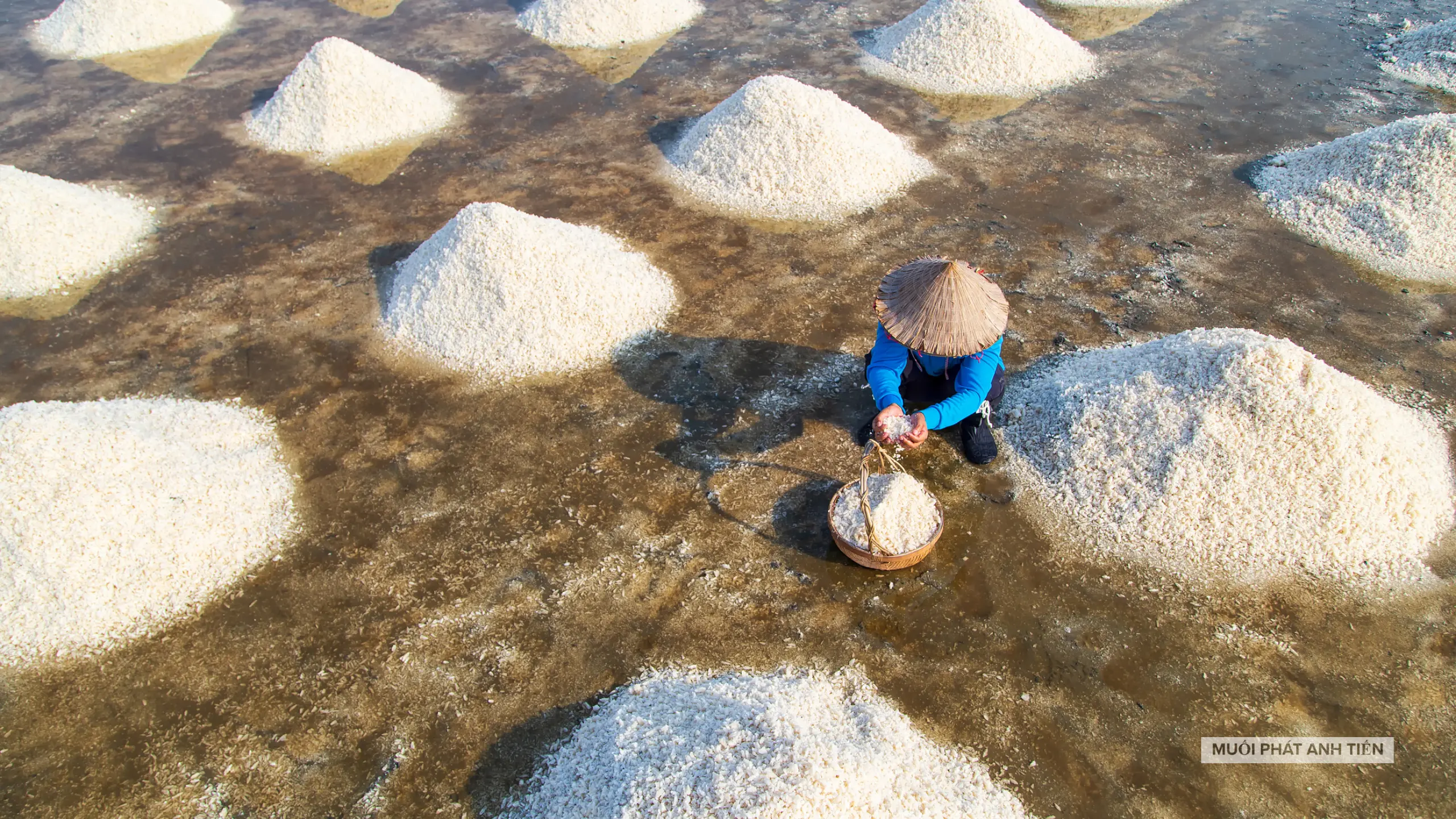 Muối Phát Anh Tiến