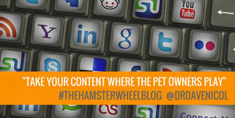 Digital Marketing Part 3: Connecting With Pet Owners