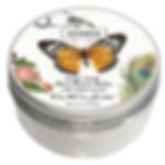 WoW Create - Shea Butter Balm
