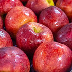 Maçã Red Delicious distribuída pela Guepardo Frutas