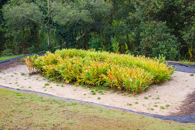 Wetland Controle Ambiental RH