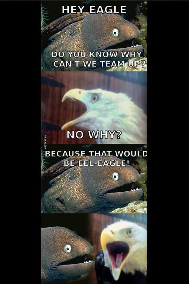 Pun Month Day 13 Birds of a feather pun together