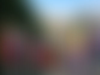 Contact Us / Location