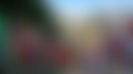 Contact Us / Location