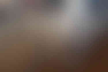 Calf Weigh Crate by Pukerau Engineering