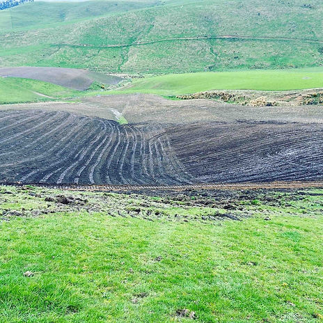 Summit Earthmoving and Drainage--34.jpg