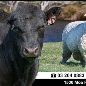 2021 Fernvale Genetics Newsletter