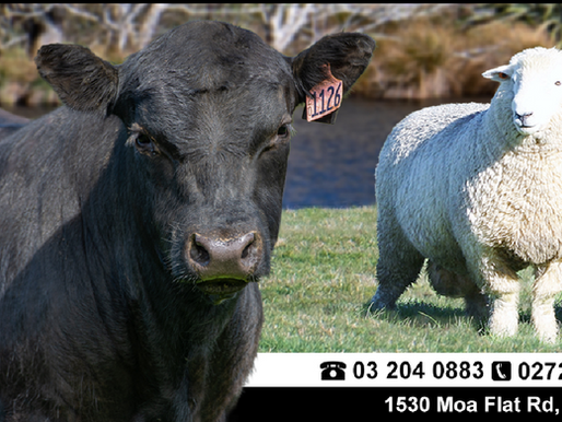2021 Fernvale Genetics Newsletter
