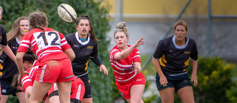 Pioneer Rugby Newsletters