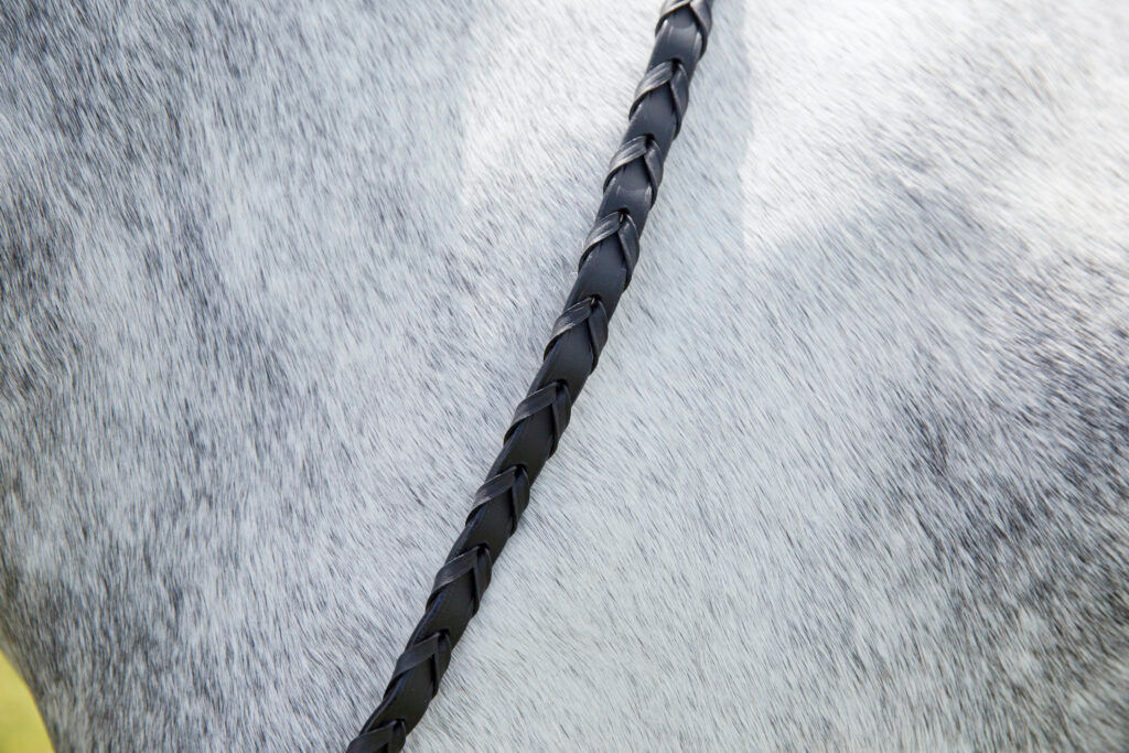 laced reins for horse riding