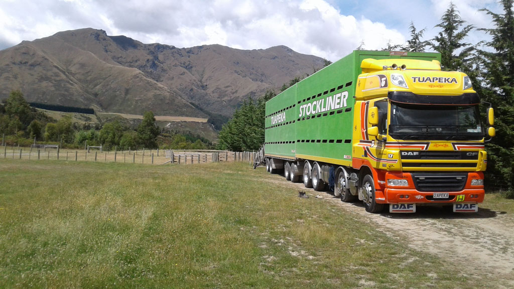 Livestock Transport RTL