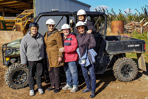 Catlins Scenic & Wildlife Tours