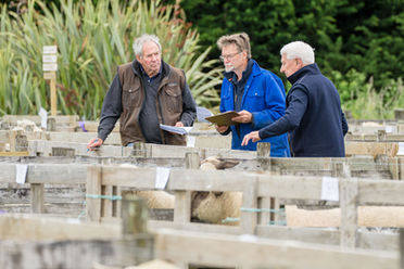 Wyndham A&P Show 2022_11