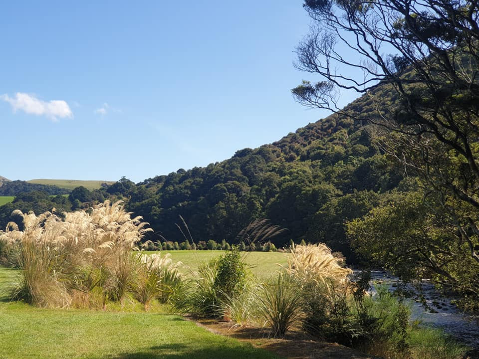 River Ridge_The Catlins (8).jpg