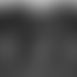 Elopement Package:  Adam & Ariel