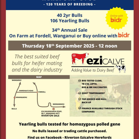 Bulla Sale 2025 Catalogue front cover