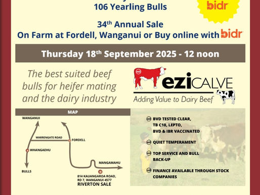 Bulla Sale 2025 Catalogue front cover